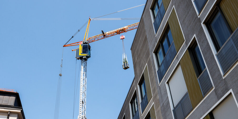Gärtnern über Münchens Dächern