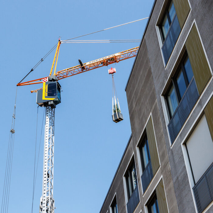 Gärtnern über Münchens Dächern